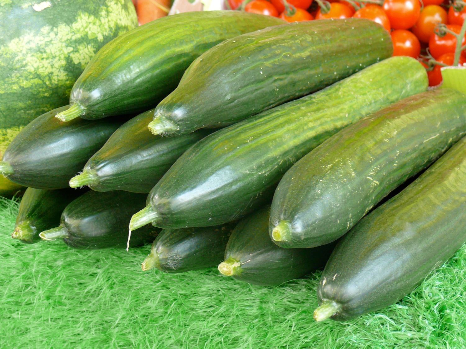 Mehrere Gurken liegen auf grünem Untergrund, im Hintergrund Tomaten
