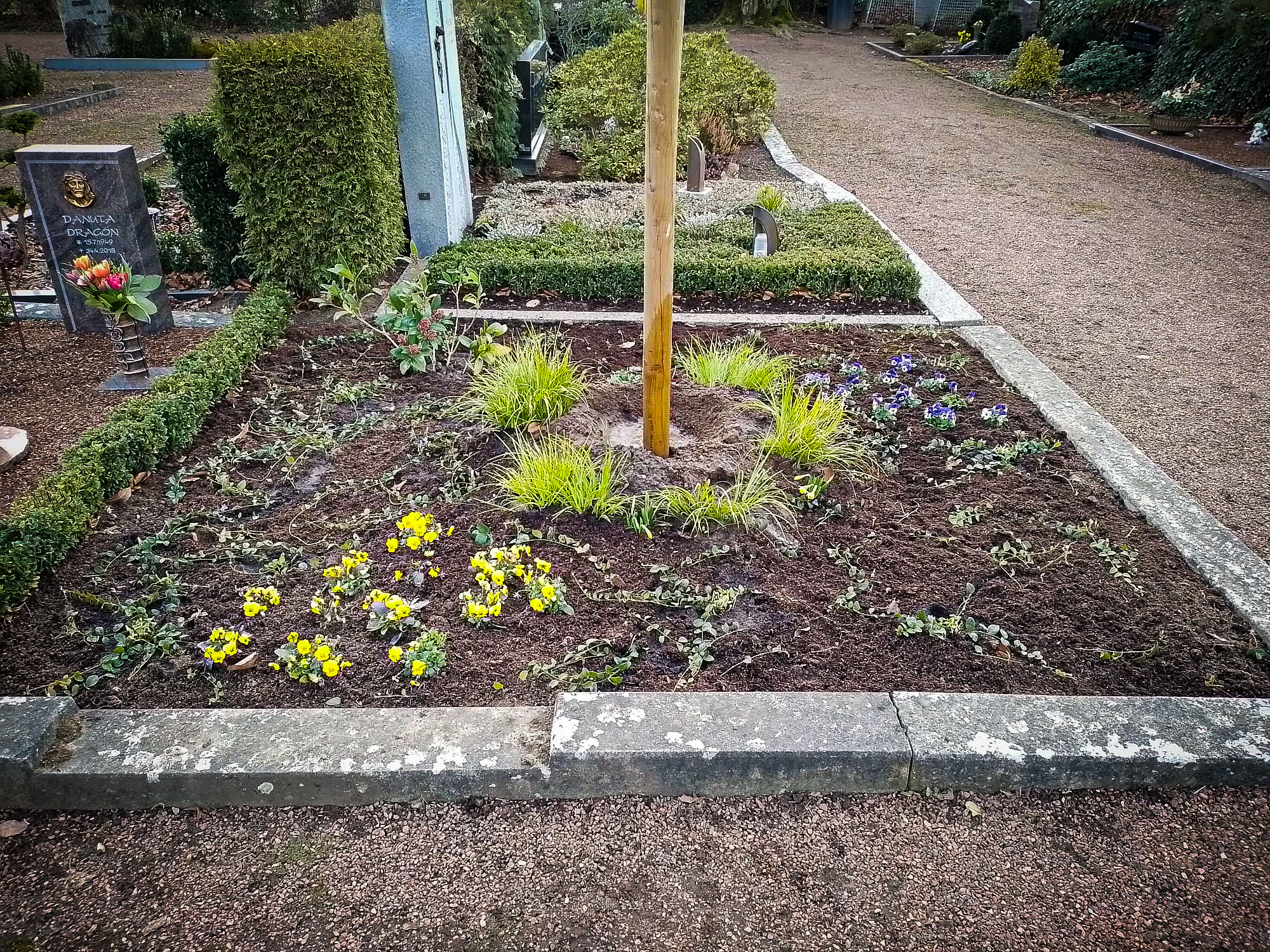 Friedhof St. Heinrich Mülhausen - Urnengemeinschaftsfeld