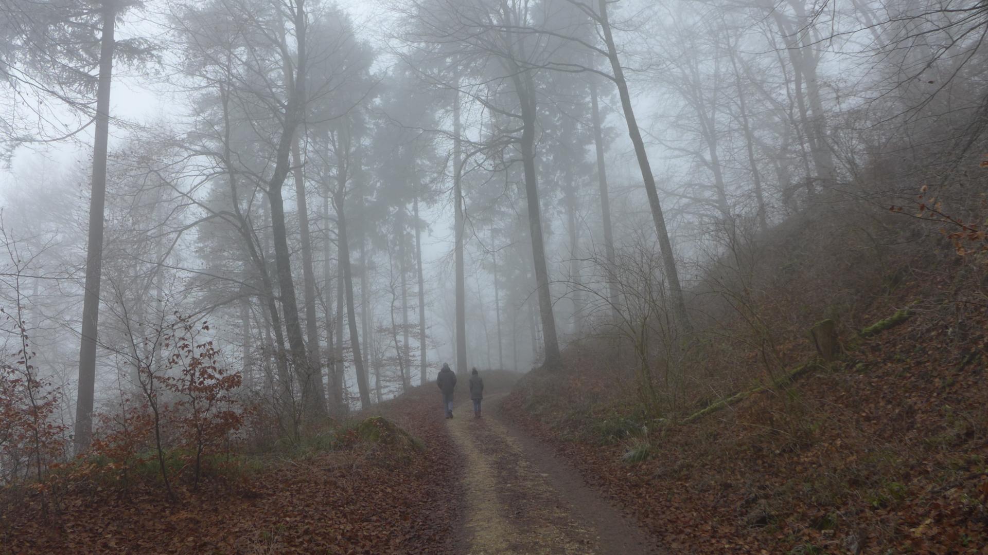 Trauerspaziergang im nebligen Wald